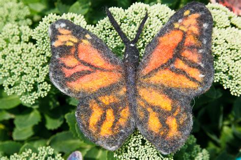  The Origin of Birds - Een Verwonderlijk Verhaal over de Transformatie van een Vrouw tot Vogel!